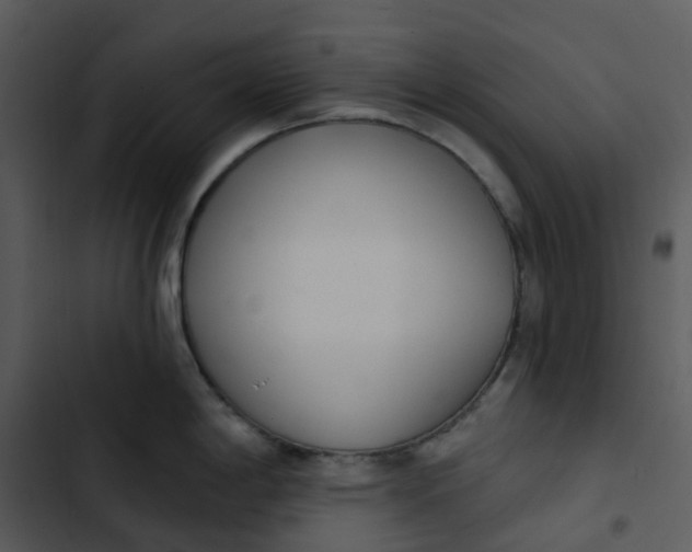 X0000102851198200809081236