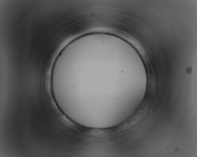 X0000102851199200809081236