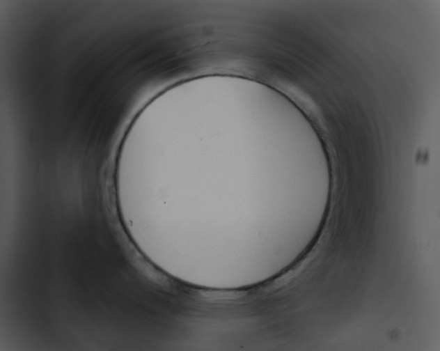 X0000102851200200809081236