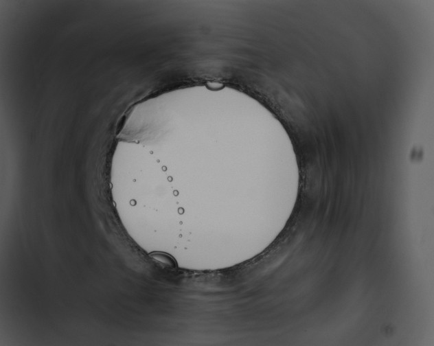 X0000102851201200809081235