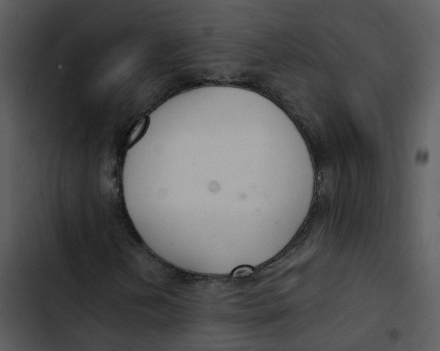 X0000102851202200809081235