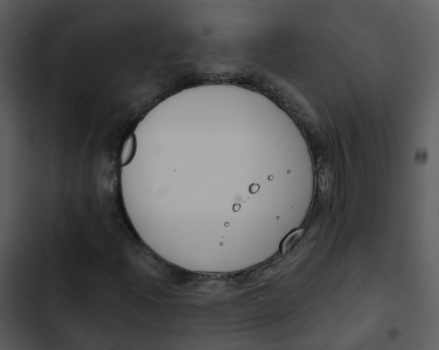 X0000102851204200809081235