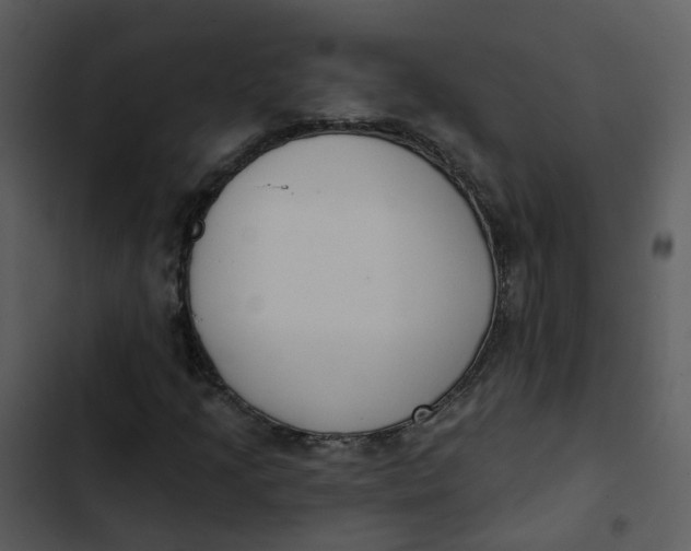 X0000102851205200809081235