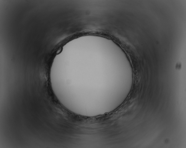 X0000102851206200809081235