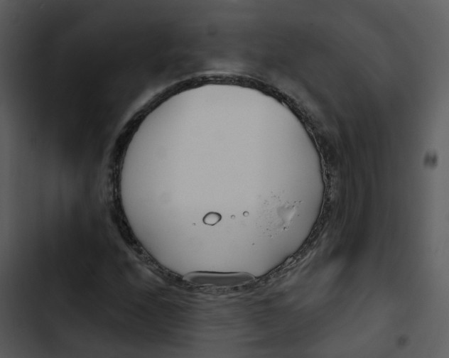 X0000102851208200809081235