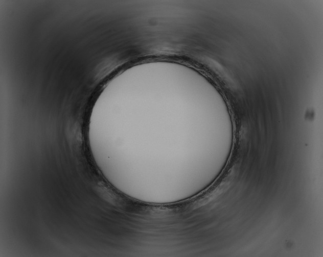 X0000102851209200809081235