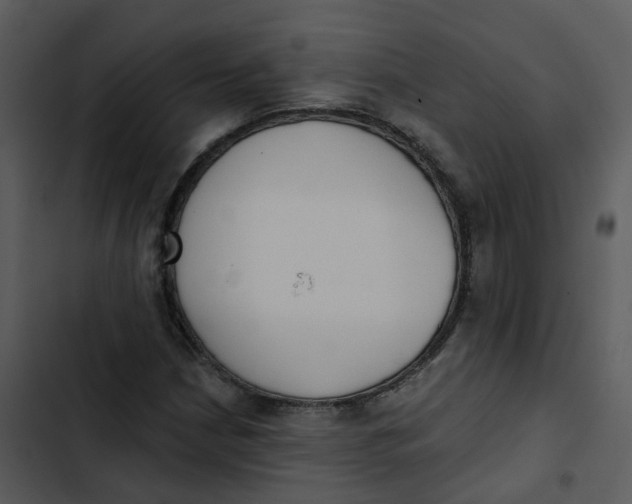 X0000102851210200809081235