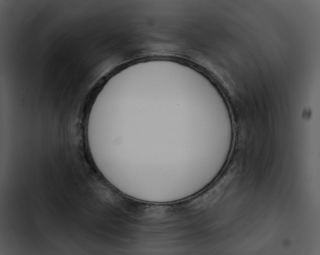 X0000102851211200809081235