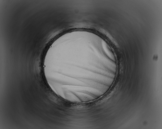 X0000102851213200809081235