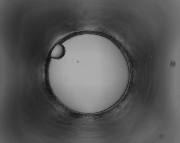 X0000102851214200809081235