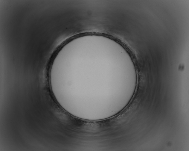 X0000102851215200809081235