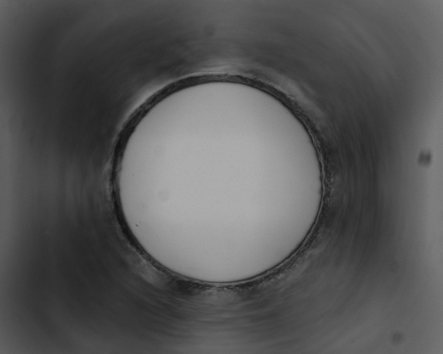 X0000102851216200809081235