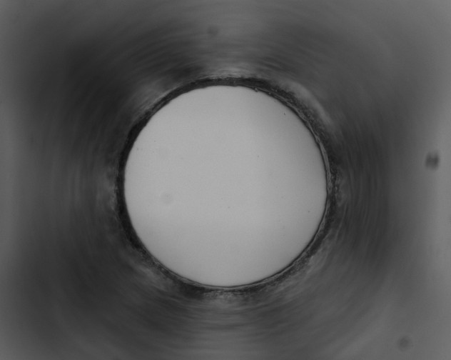 X0000102851217200809081235