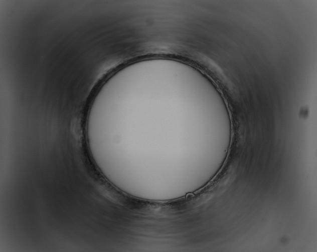 X0000102851218200809081235