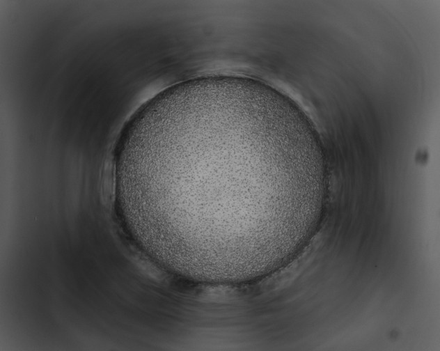 X0000102851219200809081235