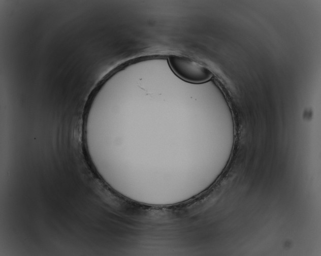 X0000102851220200809081235