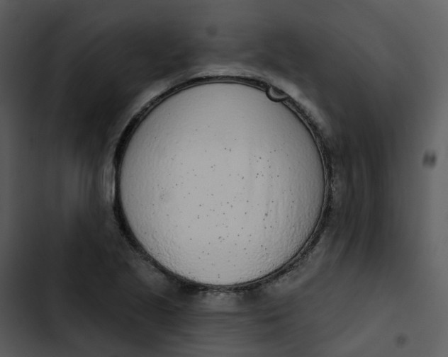 X0000102851221200809081235