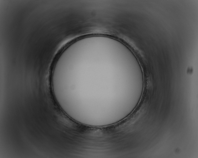 X0000102851222200809081235