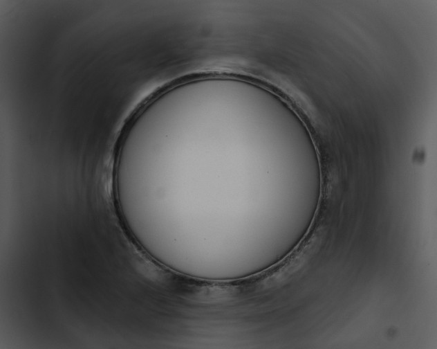 X0000102851224200809081235