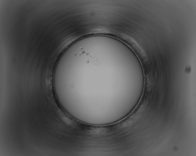 X0000102851225200809081235