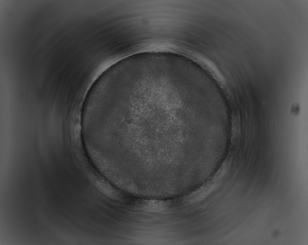 X0000102851226200809081235