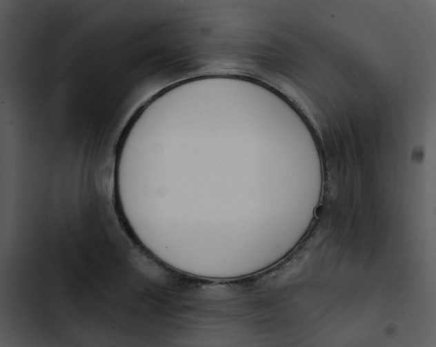 X0000102851227200809081235