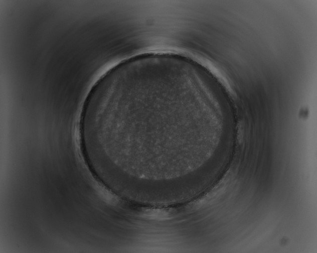 X0000102851229200809081235