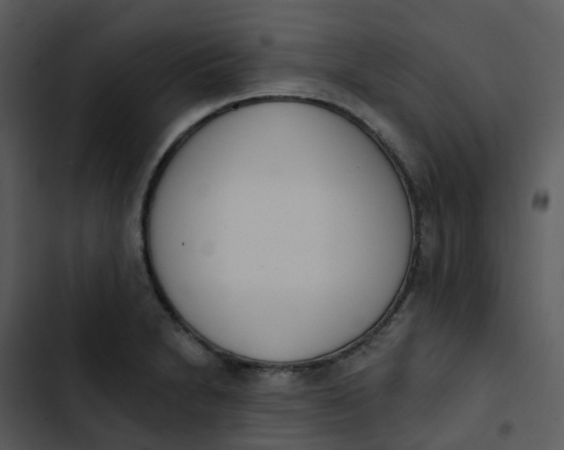 X0000102851230200809081235