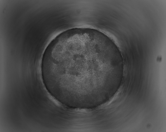 X0000102851231200809081235