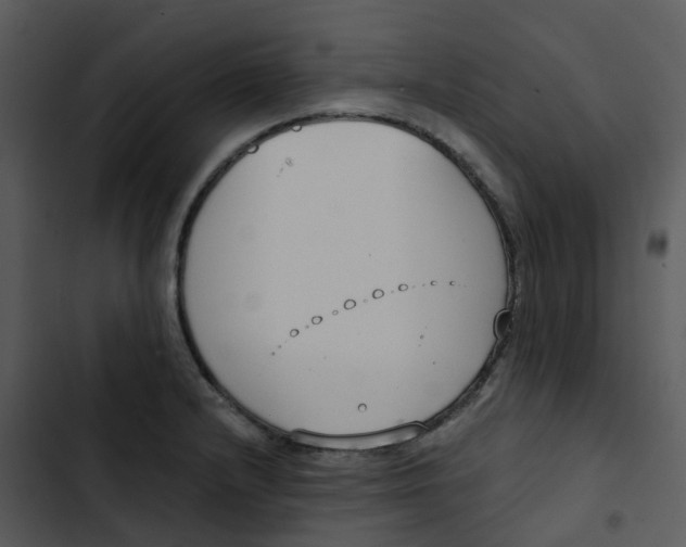 X0000102851232200809081235