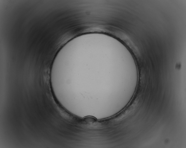 X0000102851233200809081235