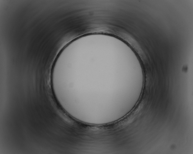 X0000102851234200809081235