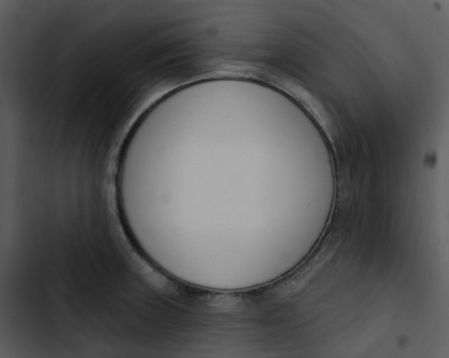 X0000102851235200809081235