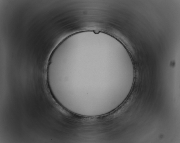 X0000102851236200809081235