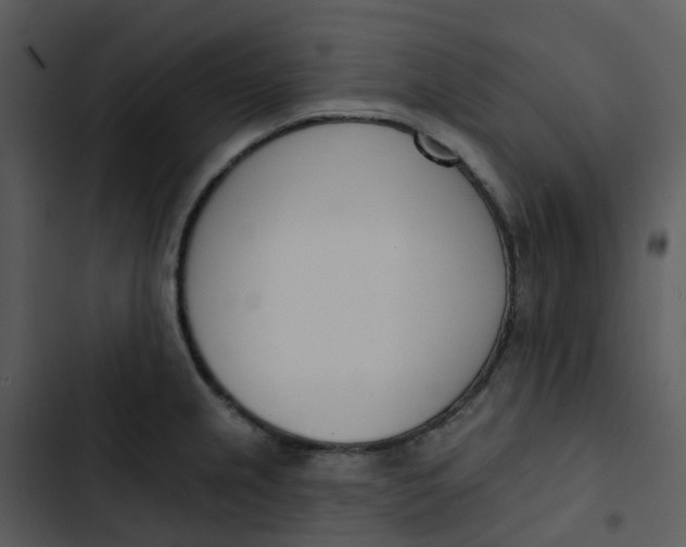 X0000102851237200809081235