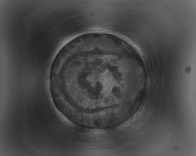 X0000102851239200809081235