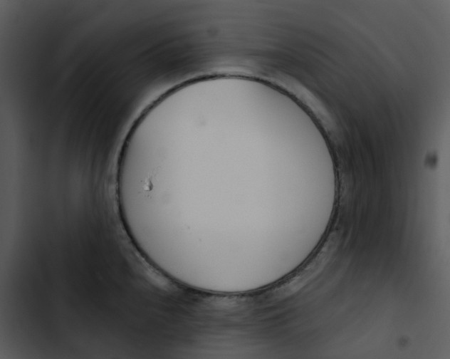 X0000102851240200809081236