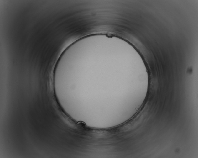 X0000102851242200809081236