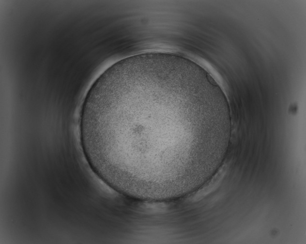 X0000102851243200809081236