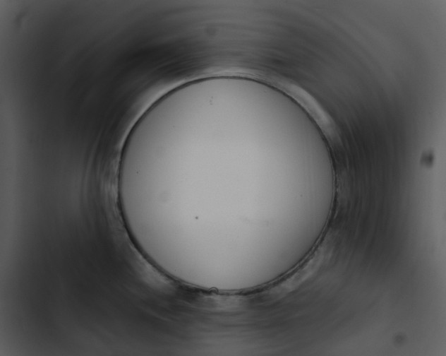 X0000102851244200809081236