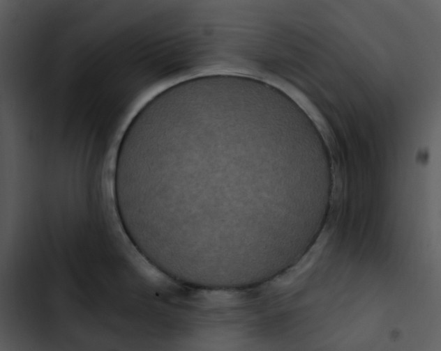 X0000102851246200809081236