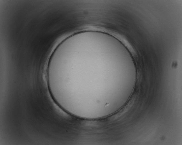 X0000102851247200809081236