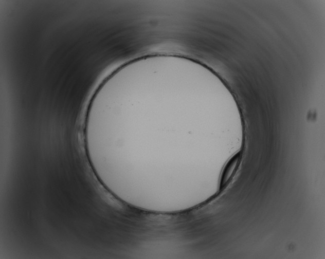 X0000102851248200809081236