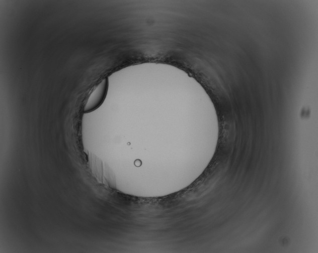 X0000102851249200809081235