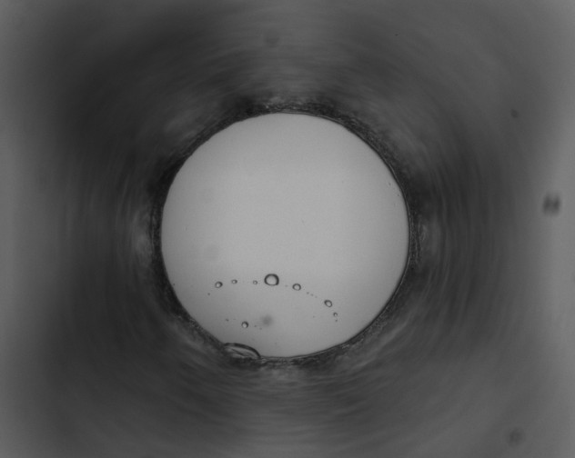 X0000102851250200809081235