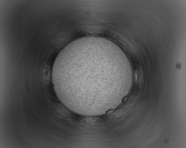 X0000102851251200809081235