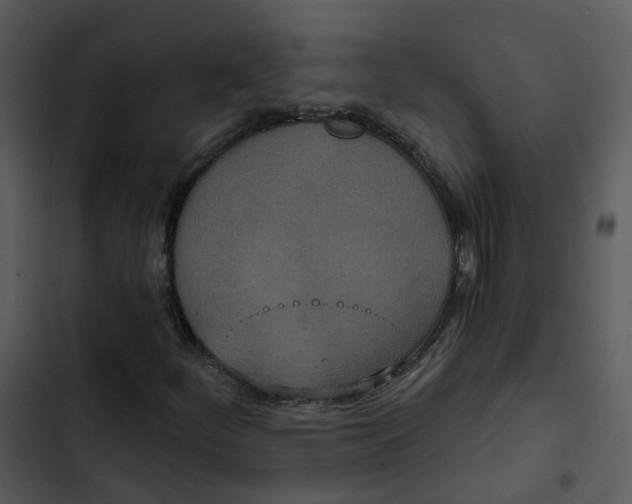 X0000102851252200809081235