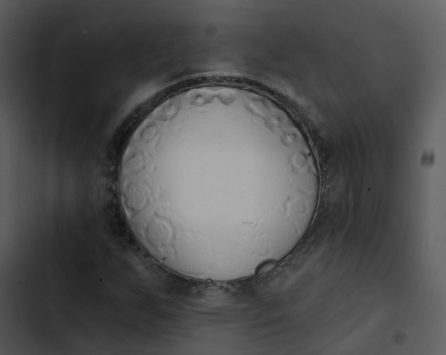 X0000102851255200809081235