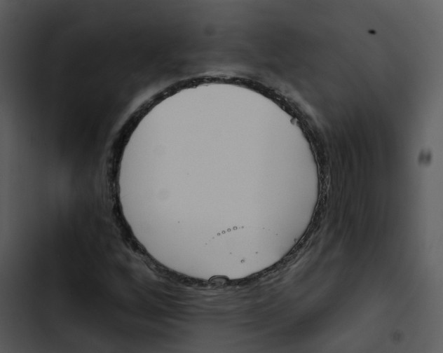 X0000102851256200809081235