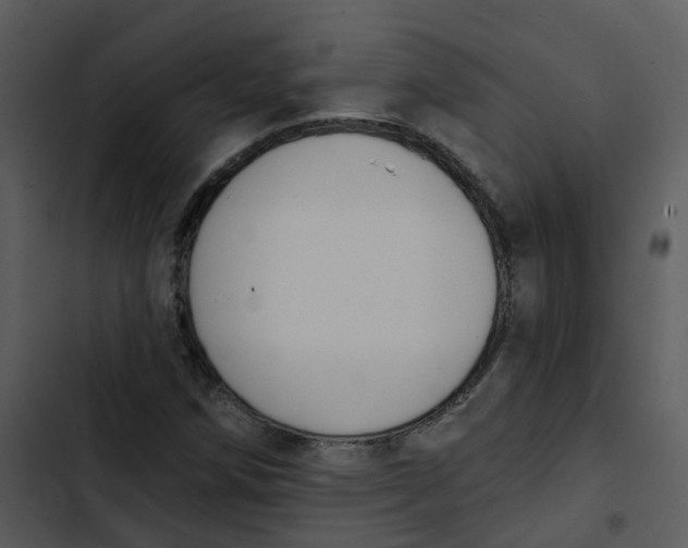 X0000102851258200809081235